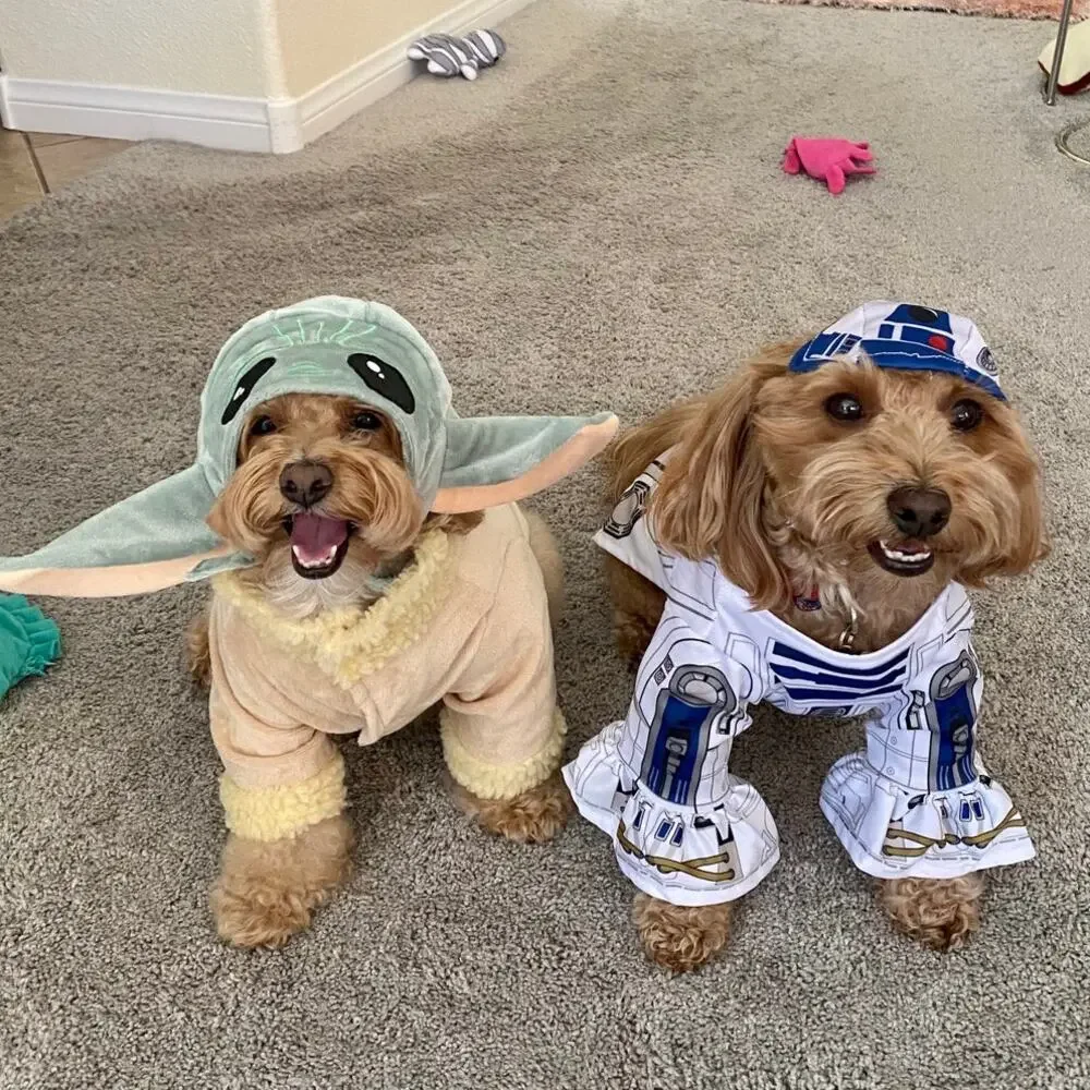 Rubies Star Wars R2-D2 Pet Costume Size Medium M R2D2 Droid Outfit